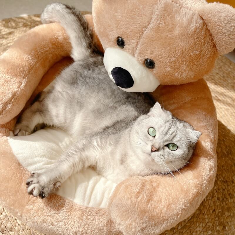 BowLift | Pet Bed Plush Bear Cuddle-Style Nest