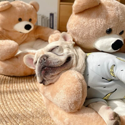 BowLift | Pet Bed Plush Bear Cuddle-Style Nest