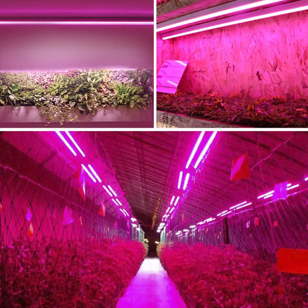 Skanto | LED Grow Light with Full Spectrum Lighting and Pull Switch for Optimal Plant Growth