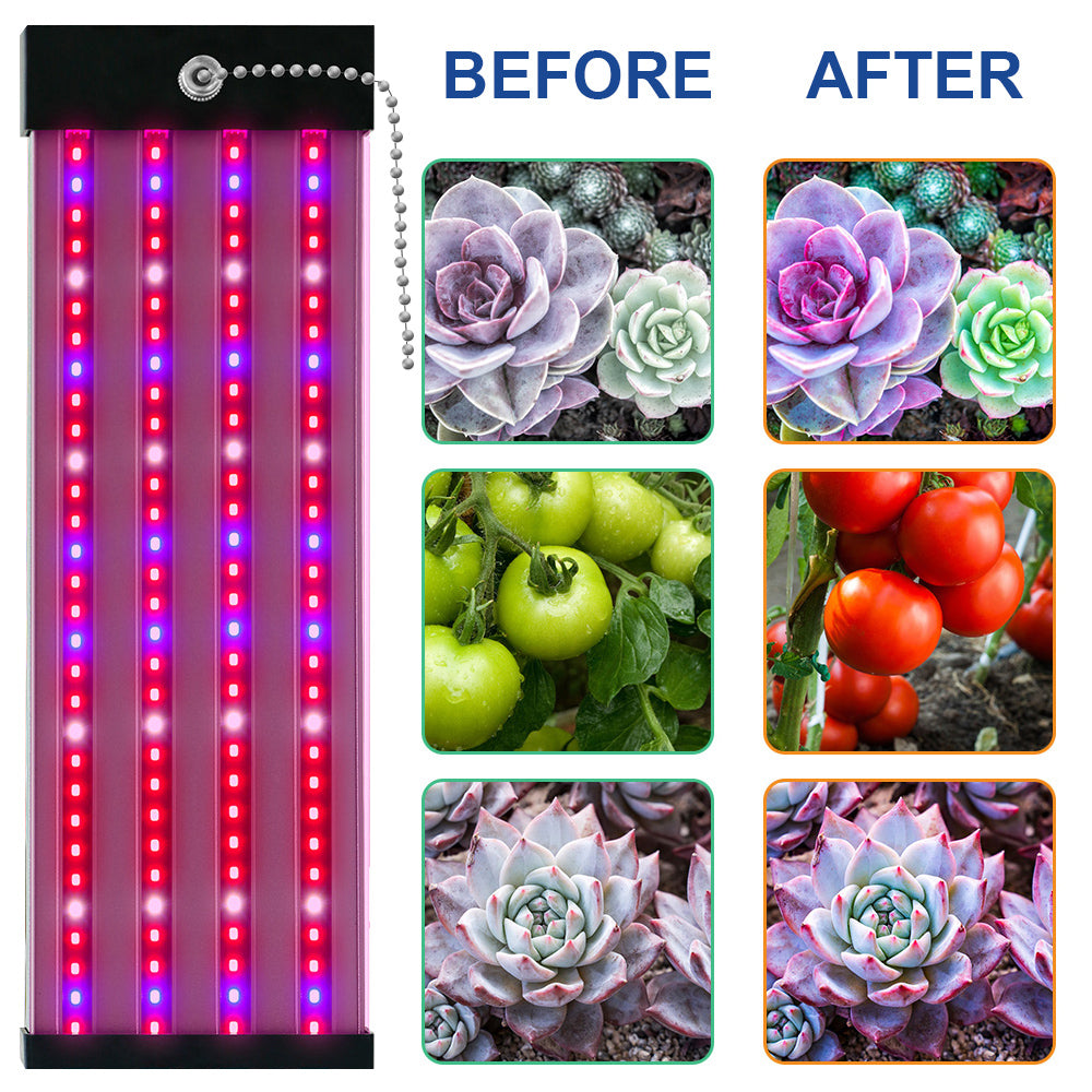 Skanto | LED Grow Light with Full Spectrum Lighting and Pull Switch for Optimal Plant Growth