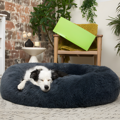 Skanto | Dog Calming Bed Soft Plus Anxiety Relief Plush Pillow
