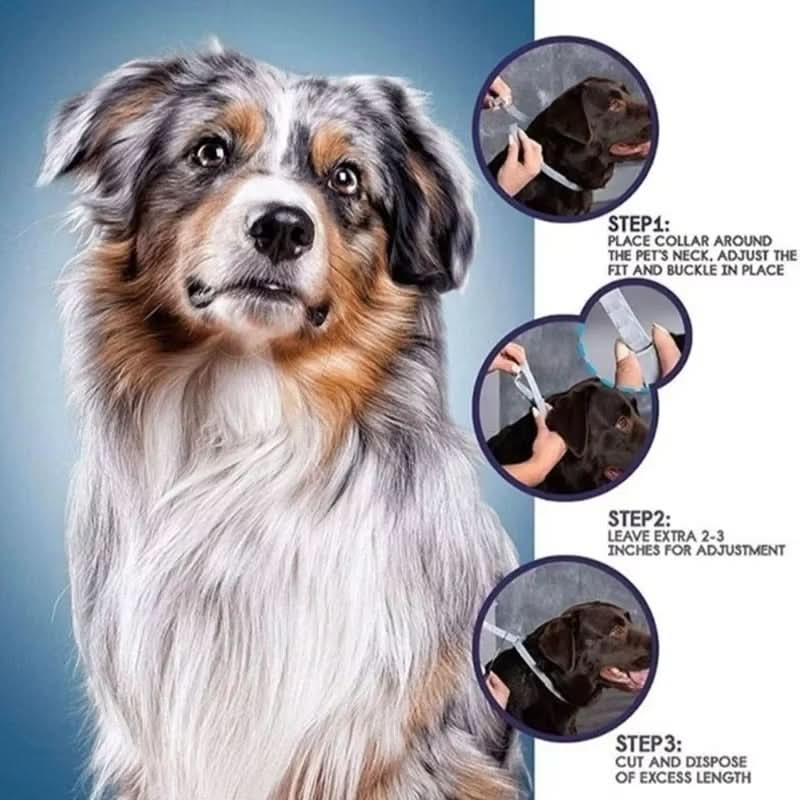 Skanto | PAWTECT - Anti-Tick and Flea Collar