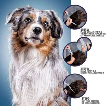 Skanto | PAWTECT - Anti-Tick and Flea Collar