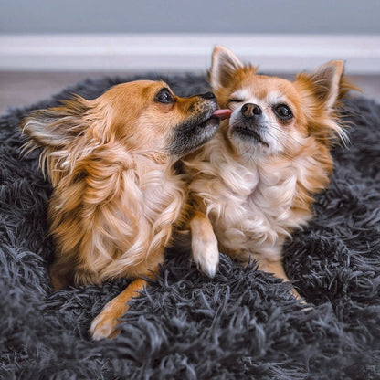 Skanto | FluffyNest Comfort Dog Bed – Orthopedic Plush Sleeping Pad for Dogs