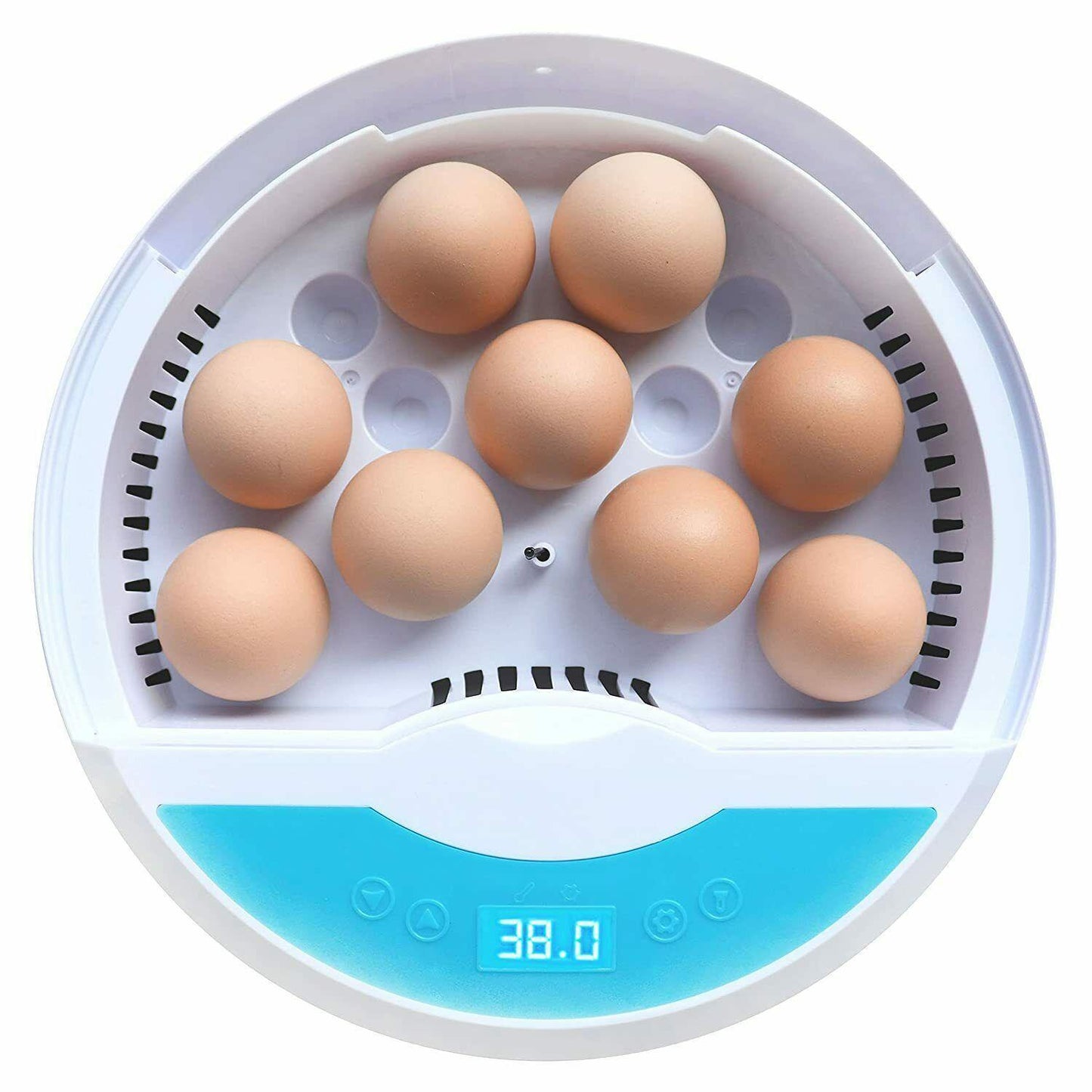 Skanto | Egg Incubator for Chicken Eggs Inkubator for Egg Hatching Chicks with Temp Control LED Chicken Hatcher