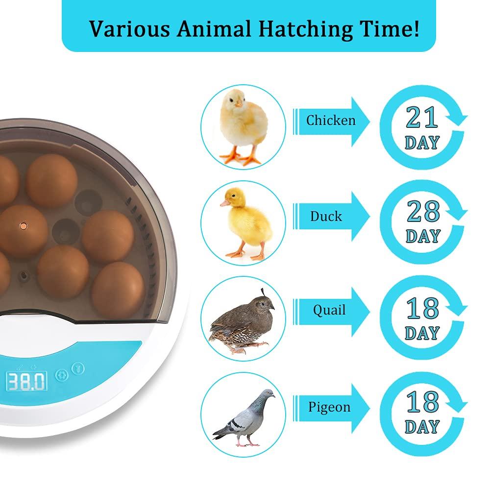 Skanto | Egg Incubator for Chicken Eggs Inkubator for Egg Hatching Chicks with Temp Control LED Chicken Hatcher