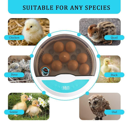 BowLift | Egg Incubator for Chicken Eggs Incubator for Egg Hatching Chicks with Temp Control LED Chicken Hatcher