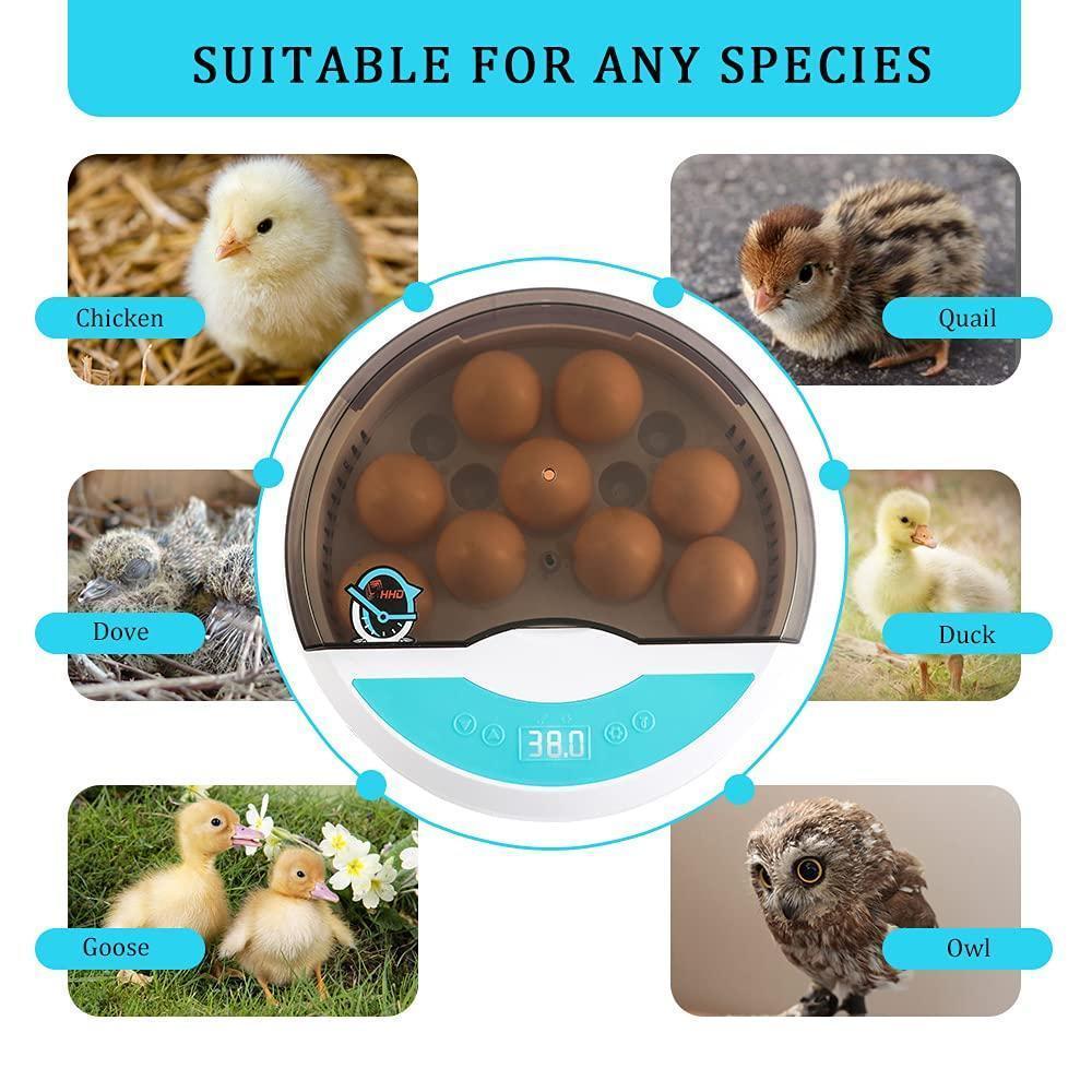 Skanto | Egg Incubator for Chicken Eggs Inkubator for Egg Hatching Chicks with Temp Control LED Chicken Hatcher