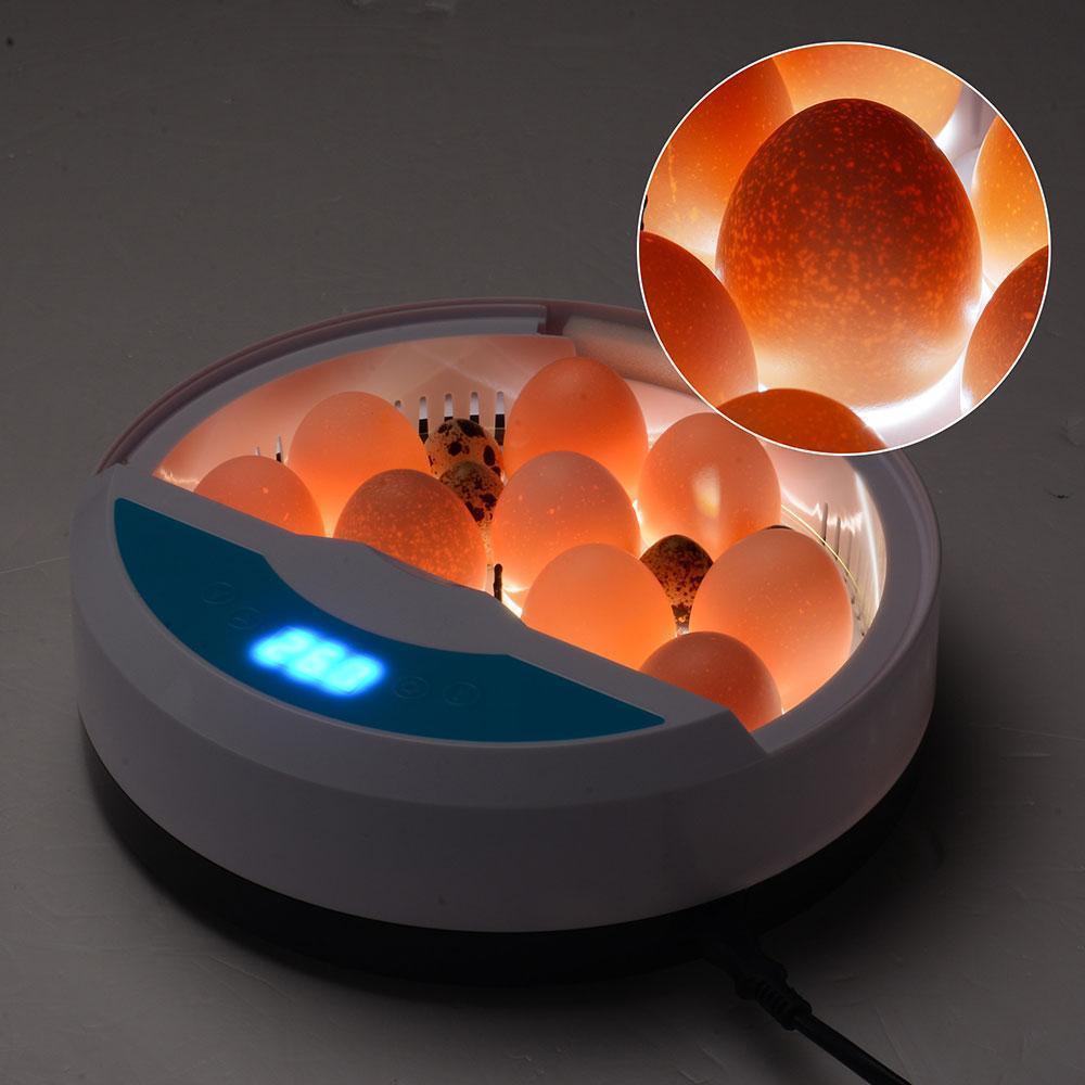Skanto | Egg Incubator for Chicken Eggs Inkubator for Egg Hatching Chicks with Temp Control LED Chicken Hatcher
