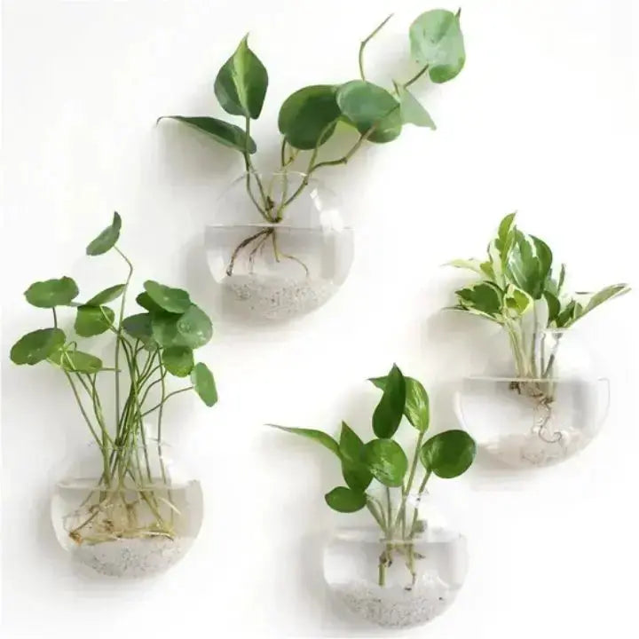 BowLift | Elegant Glass Wall Vase – Minimalist Plant Holder