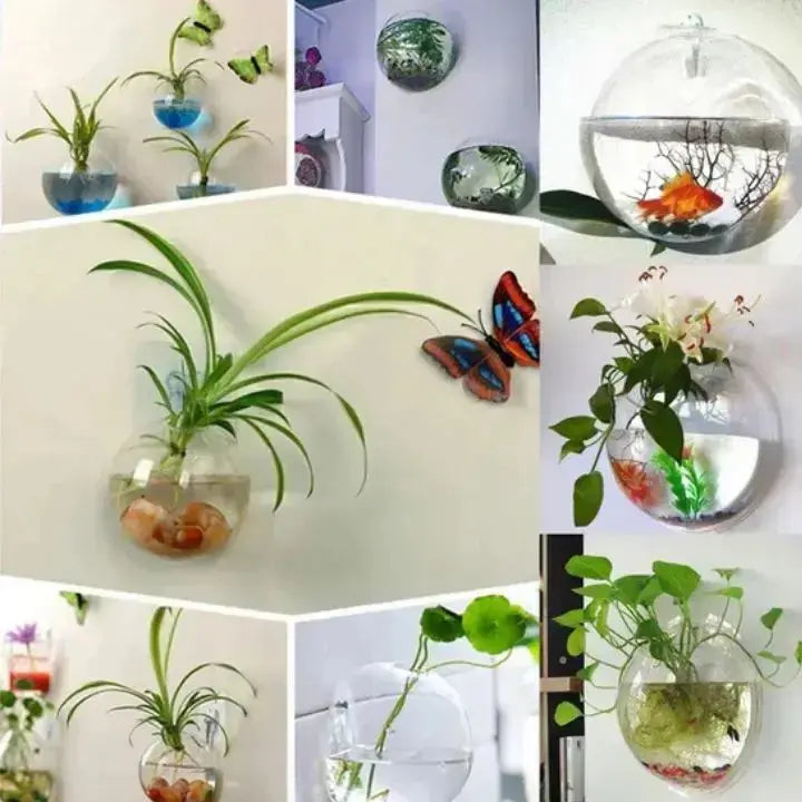 BowLift | Elegant Glass Wall Vase – Minimalist Plant Holder