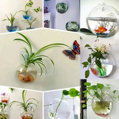 BowLift | Elegant Glass Wall Vase – Minimalist Plant Holder