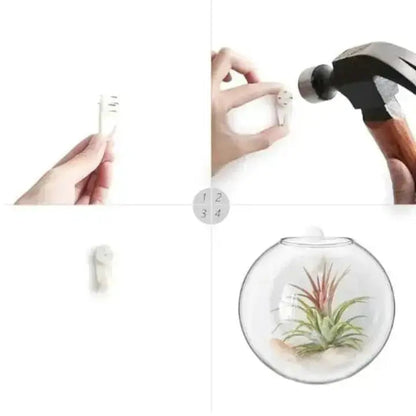BowLift | Elegant Glass Wall Vase – Minimalist Plant Holder