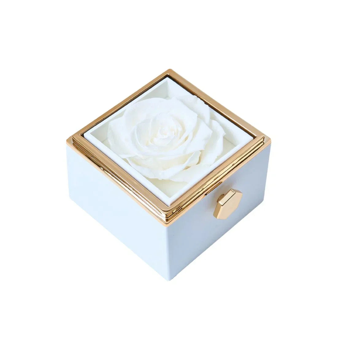 Skanto | LuxeBlossom™ Everlasting Blooming Elegance