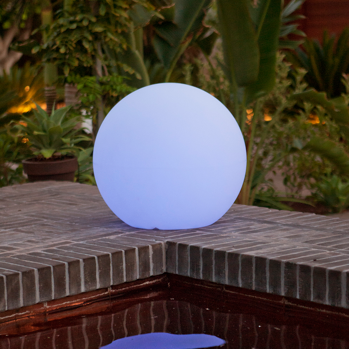 BowLift | Shiny play ball in various sizes!