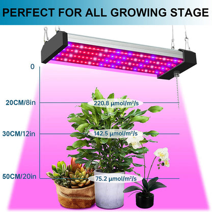Skanto | LED Grow Light with Full Spectrum Lighting and Pull Switch for Optimal Plant Growth