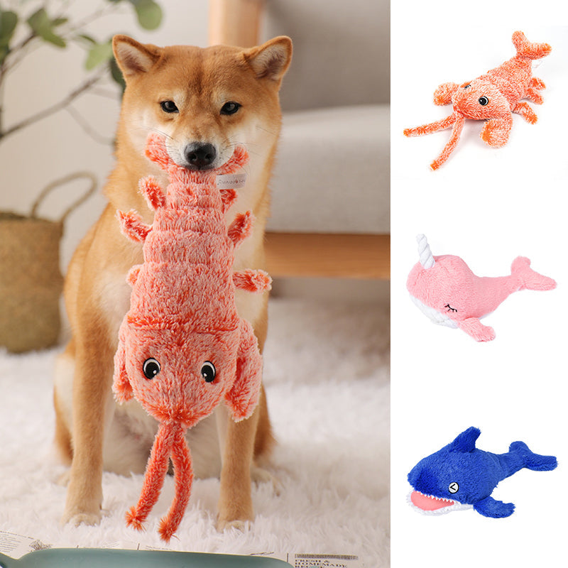 Skanto | Cat and Dog Toy