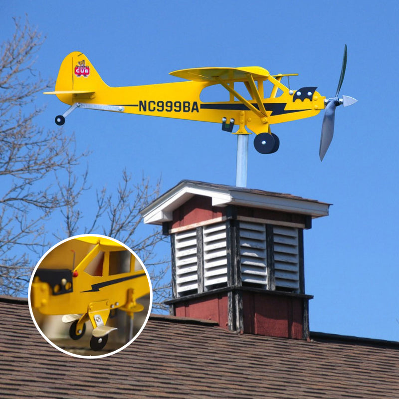 Brehn | Airplane Weathervane