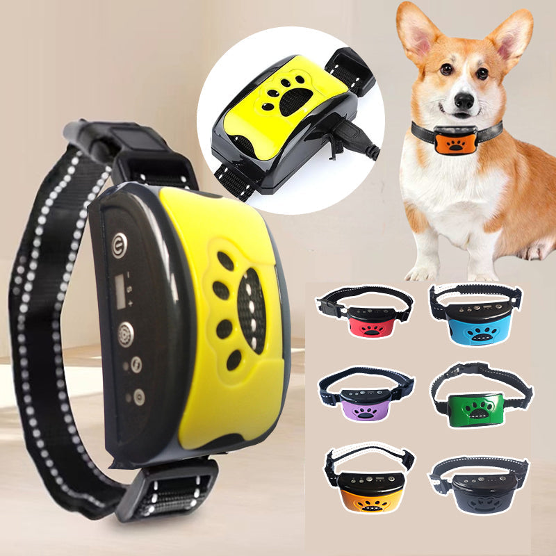 Rechargeable, waterproof dog trainer