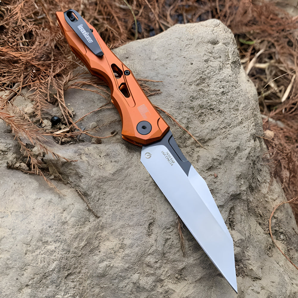 Folding Knife in Stainless Steel
