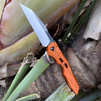 Folding Knife in Stainless Steel