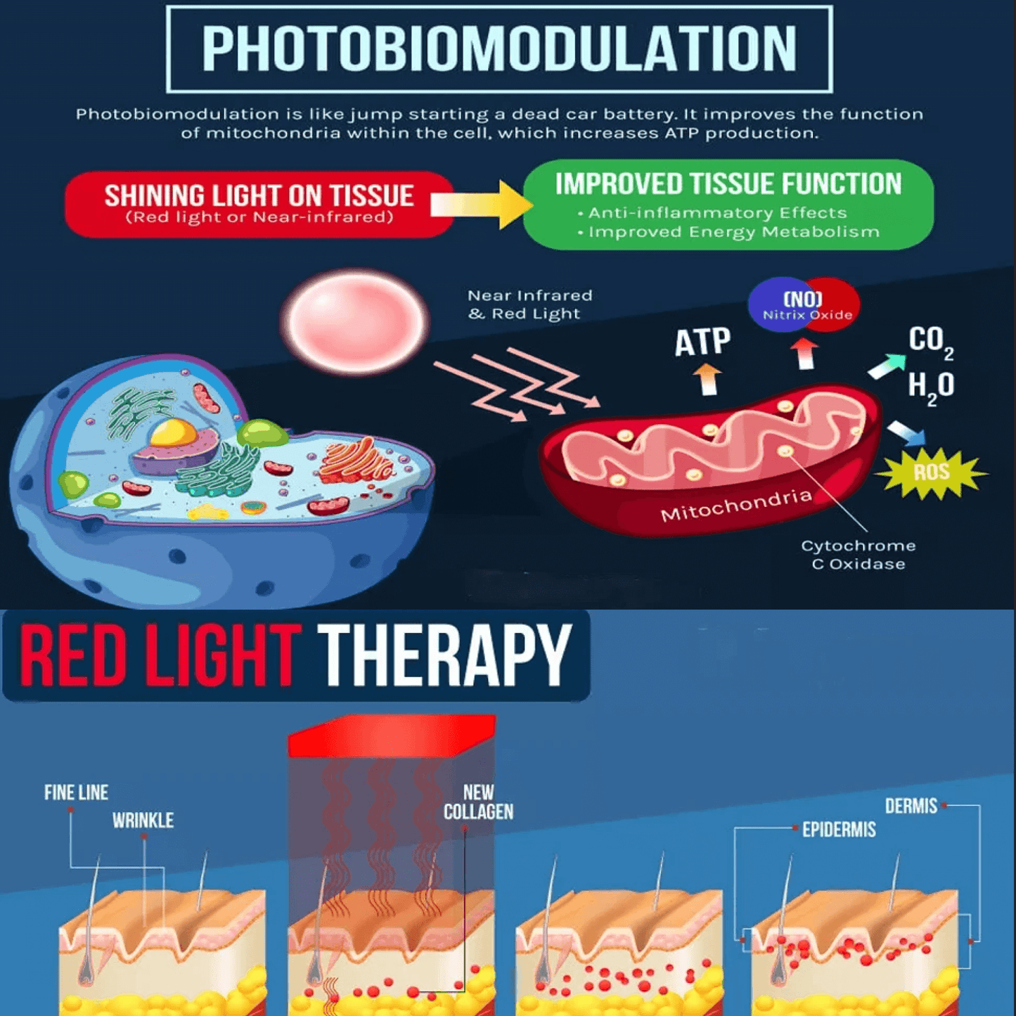 BowLift | Red and Blue Light Phototherapy Therapy