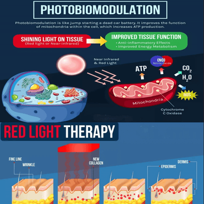 BowLift | Red and Blue Light Phototherapy Therapy