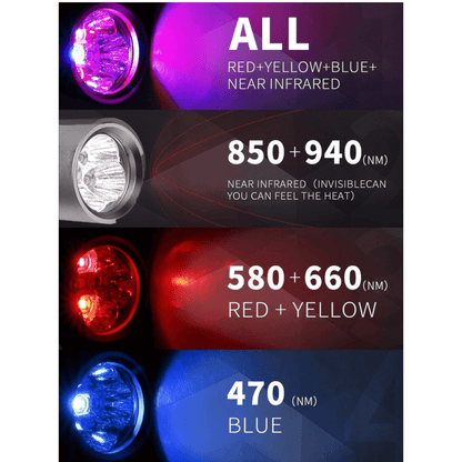 BowLift | Red and Blue Light Phototherapy Therapy