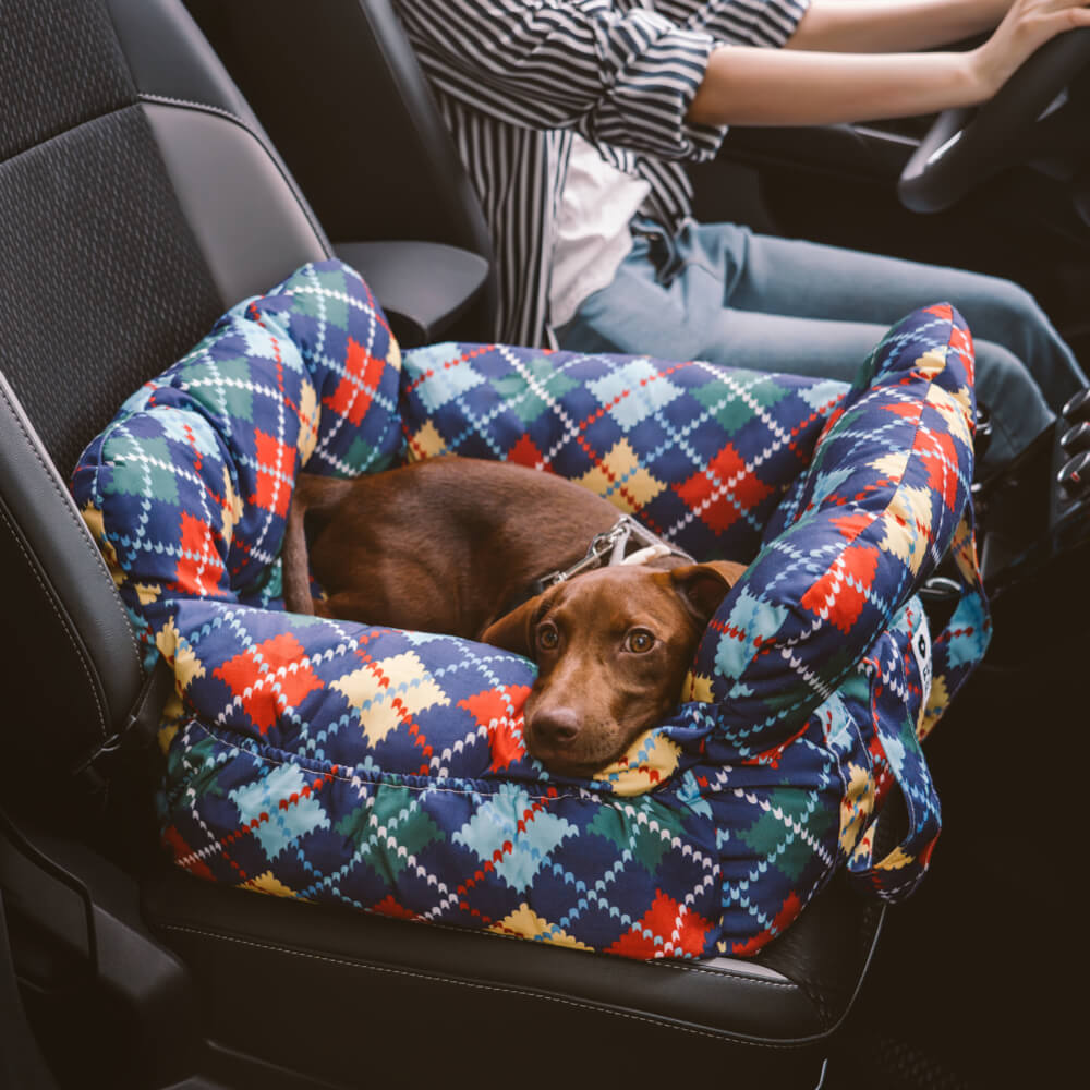 Skanto | Pet Seter - Road Trip Pet Booster