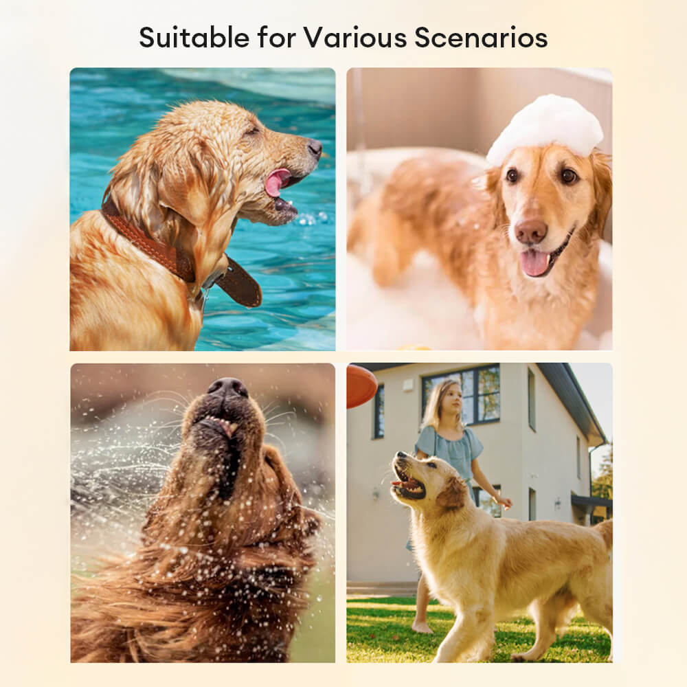 Skanto | Absorbent Thick Large Skin-Friendly Multi-Purpose Dog Bathrobe Towel