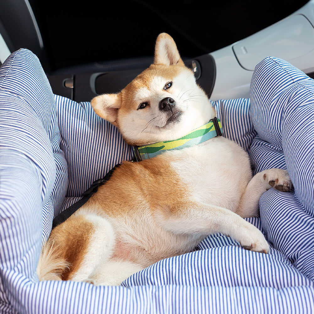Skanto | Pet Seter - Road Trip Pet Booster