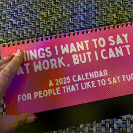 Skanto | Funny 2025 Sarcastic Calendar