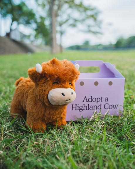 The Highland Cow Plush Toy - Great Gift