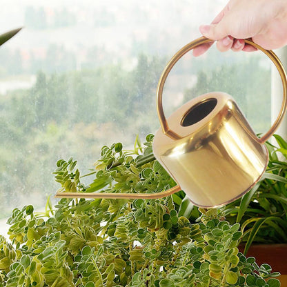 Skanto | Elliptical Watering Can