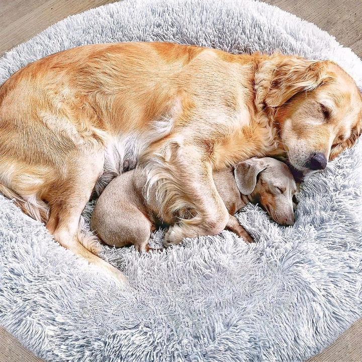 Skanto | FluffyNest Comfort Dog Bed – Orthopedic Plush Sleeping Pad for Dogs