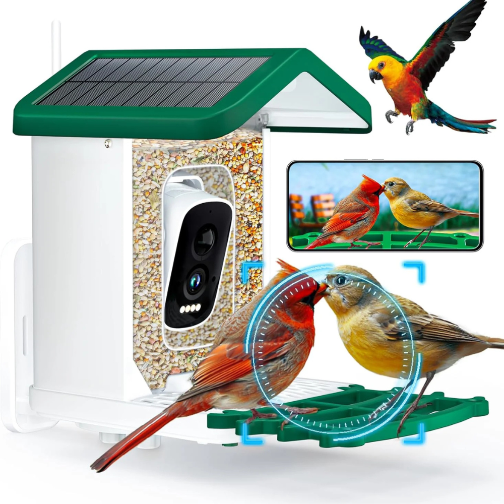 Skanto | Smart Bird Feeder Camera Solar Outdoor Device