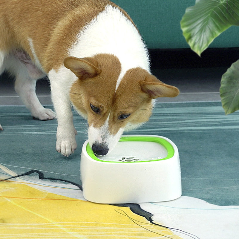 Automatic Pet Water Fountain Bowlift