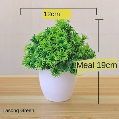 Skanto | Small Wooden Pot Bonsai Planter