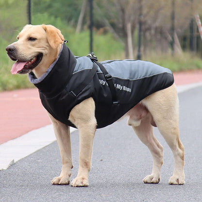 BowLift | Waterproof Winter Dog Jackets