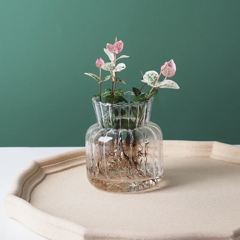 Glass Vase (Various Shape) | Bowlift