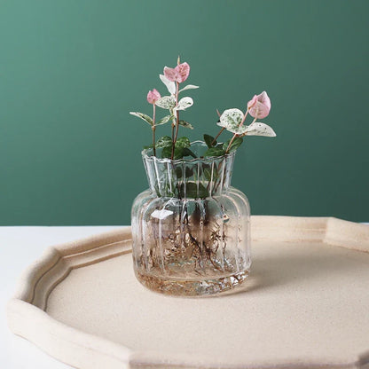 Glass Vase (Various Shape) | Bowlift