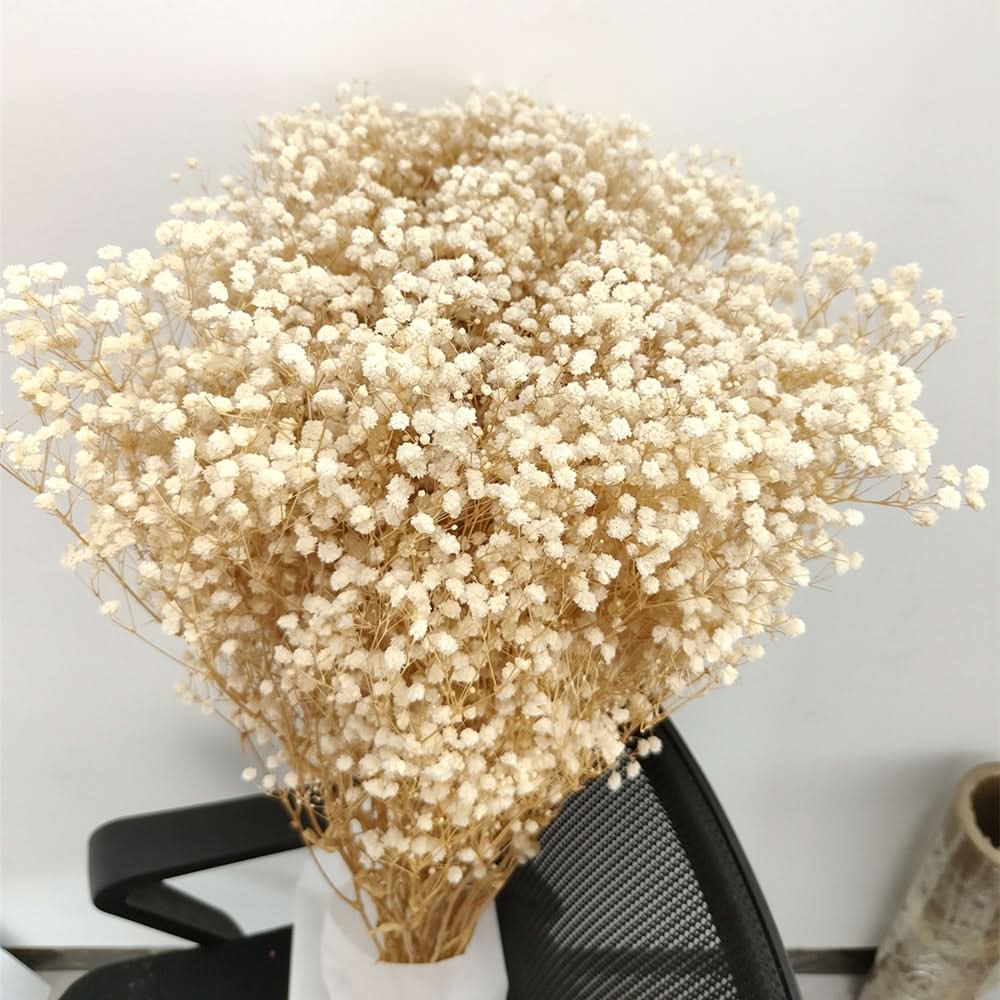 Skanto Skanto | Dried Preserved Gypsophila Flower Bunch – Natural Decor