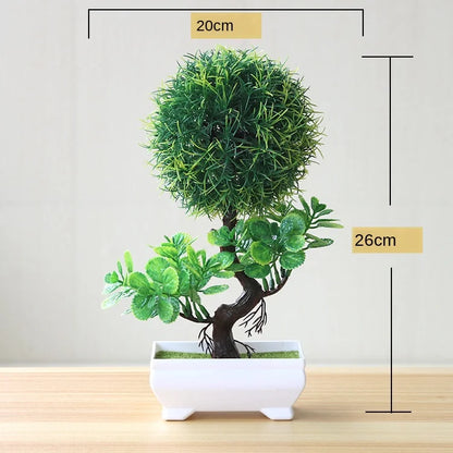 Skanto | Small Wooden Pot Bonsai Planter