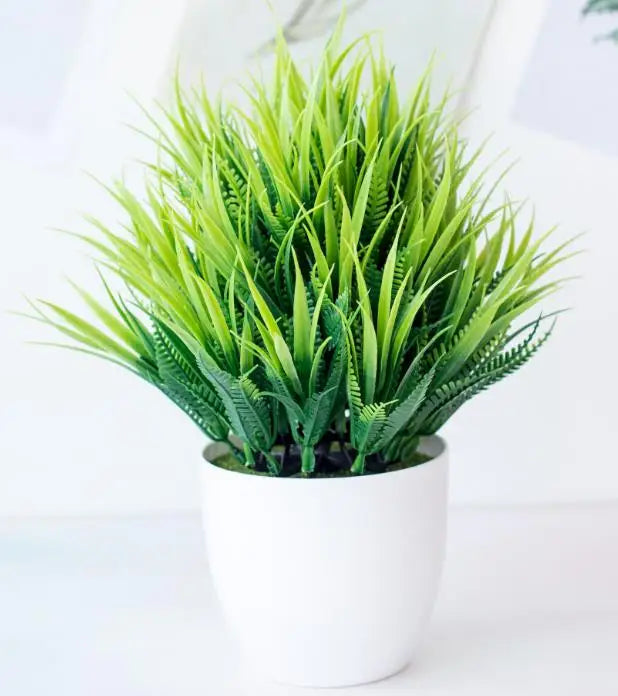 Skanto | Small Wooden Pot Bonsai Planter
