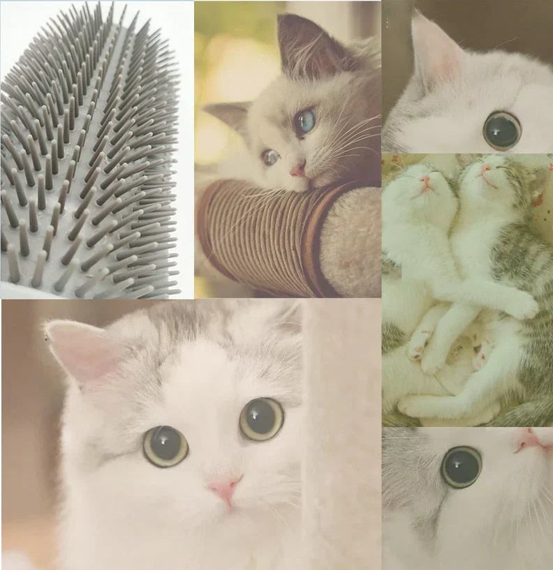 Self-Grooming Cat Corner Brush – FurRelaxer Bowlift