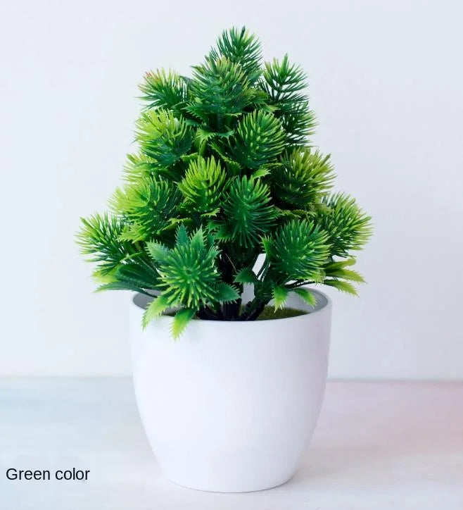 Skanto | Small Wooden Pot Bonsai Planter