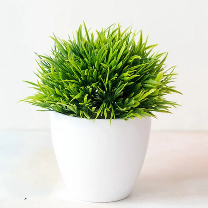 Skanto | Small Wooden Pot Bonsai Planter