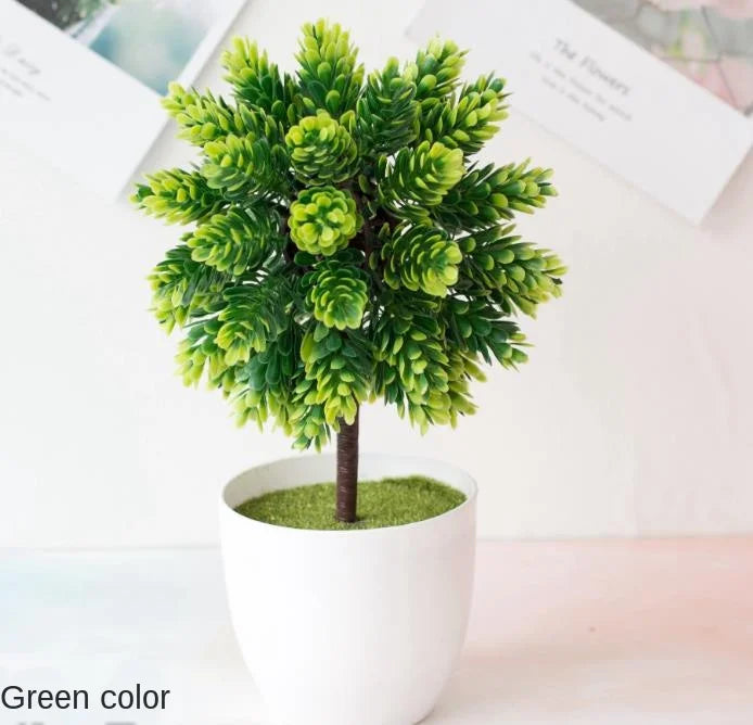Skanto | Small Wooden Pot Bonsai Planter