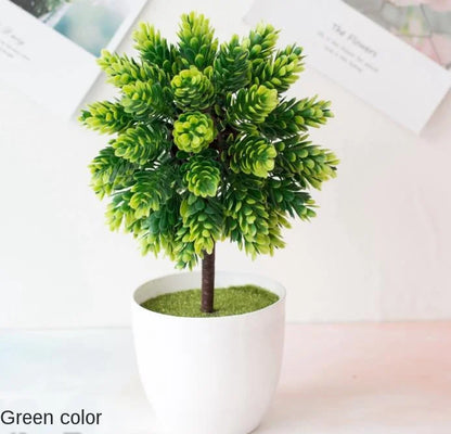 Skanto | Small Wooden Pot Bonsai Planter