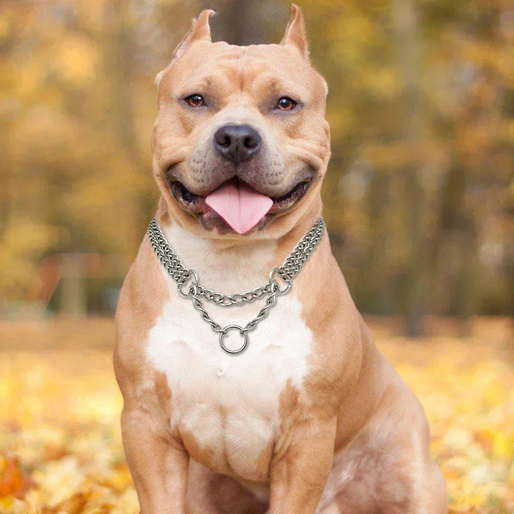 Skanto | Stainless Steel Dog Training Collar